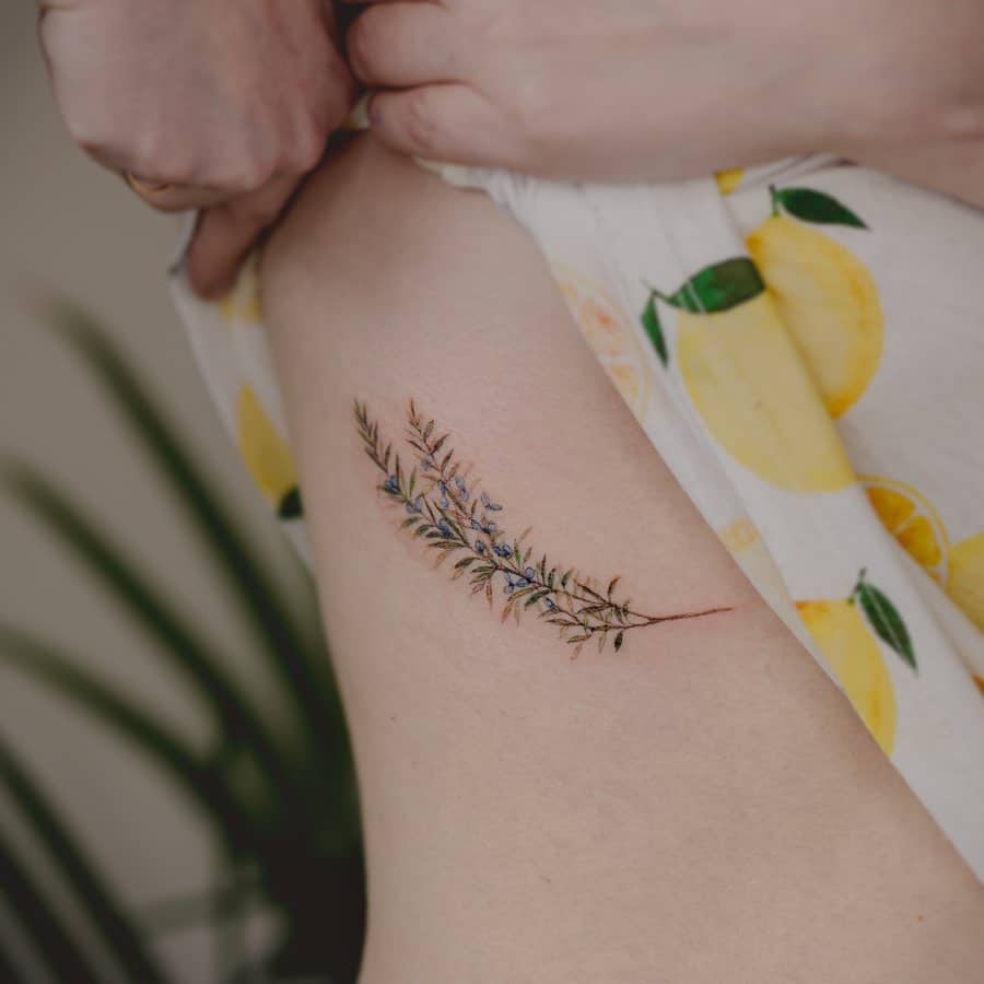20 tatouages de romarin que vous pouvez encrer sur votre peau pour toujours