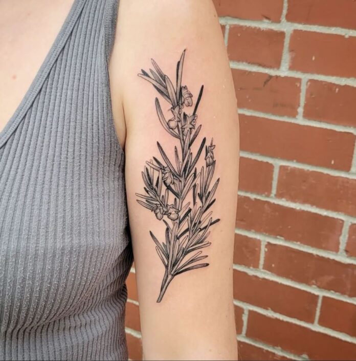 20 Rosemary Tattoos You Can Ink On Your Skin Forever