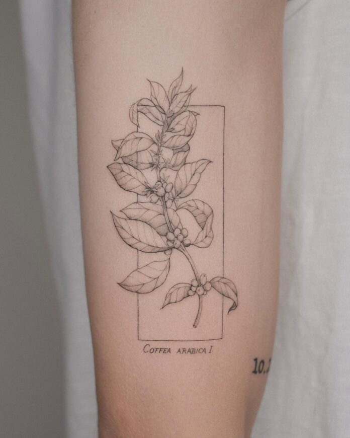 24 Coffee Plant Tattoo Designs That Are Anything But Boring