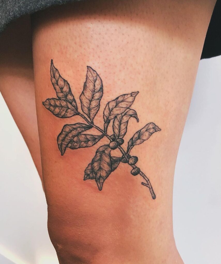 24 disegni di tatuaggi di piante di caffè che non sono affatto noiosi