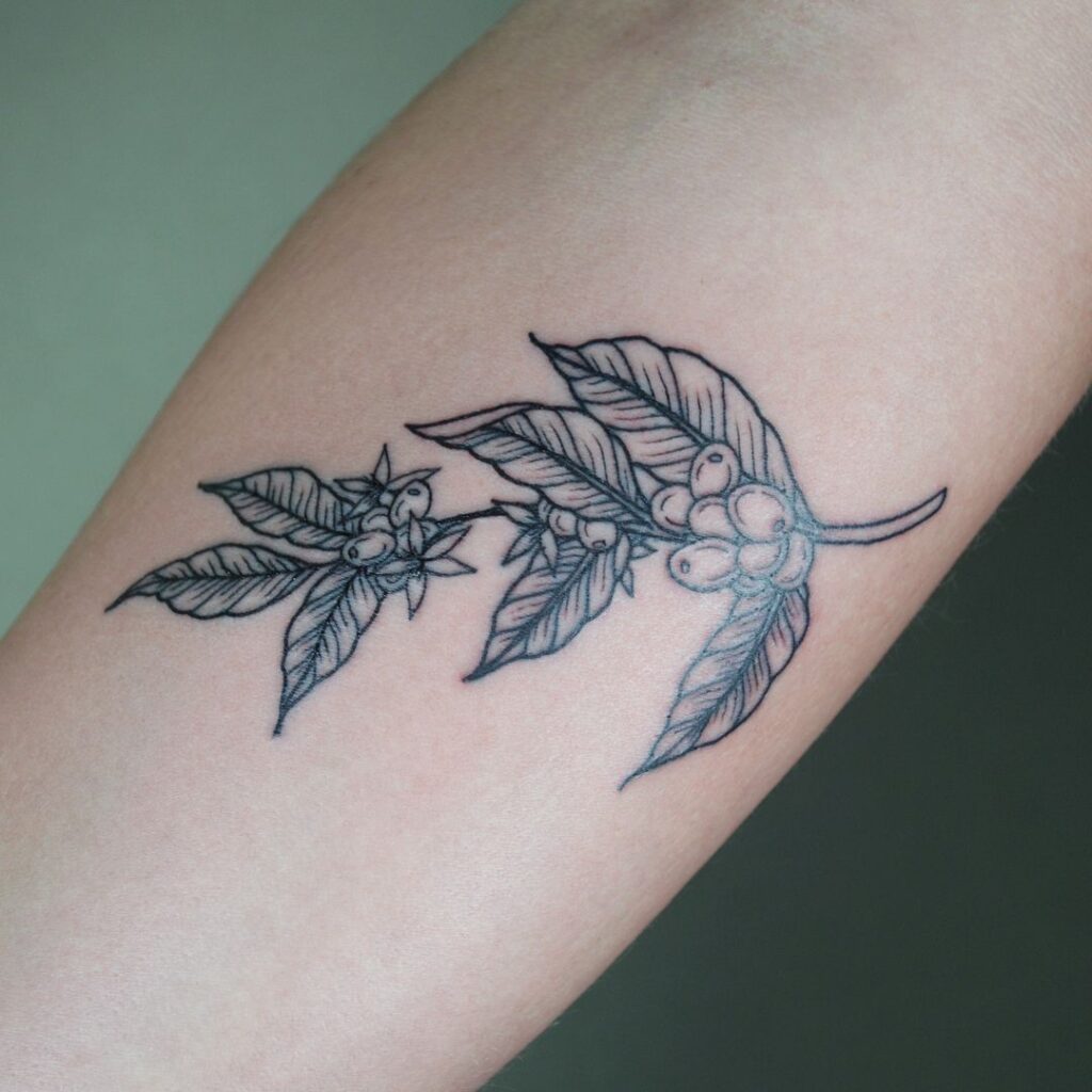 24 Desenhos de tatuagens de plantas de café que são tudo menos aborrecidos