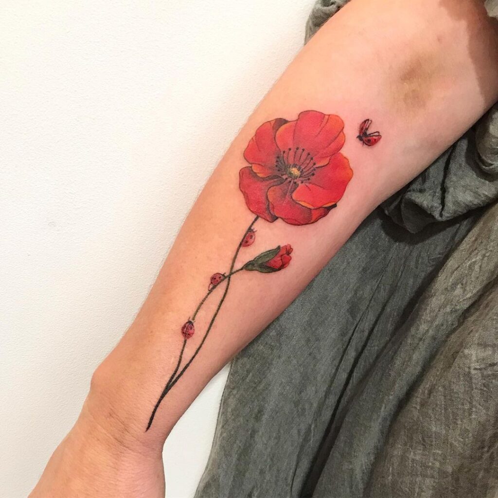 22 Hübsche Mohnblumen-Tattoos, bei denen wir nicht aufhören können zu starren