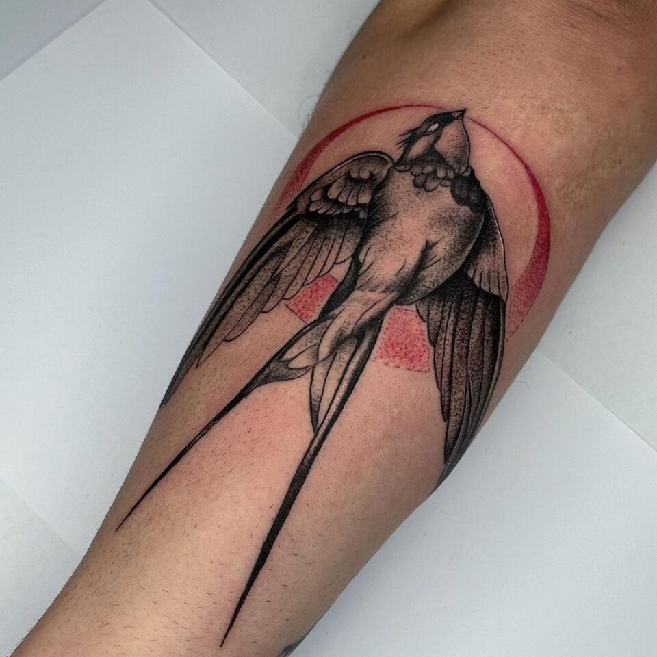 30 Swallow Tattoos Designs That Tell Your Story