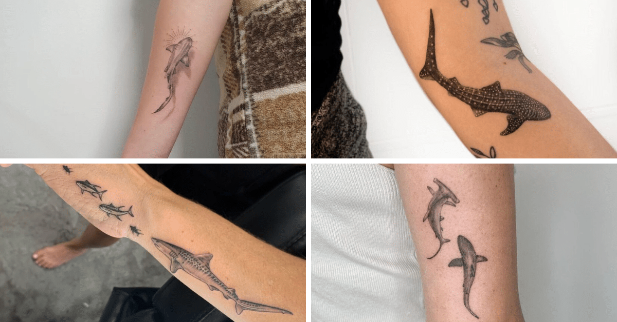 20 Sick Shark Tattoos To Sink Your Teeth Into
