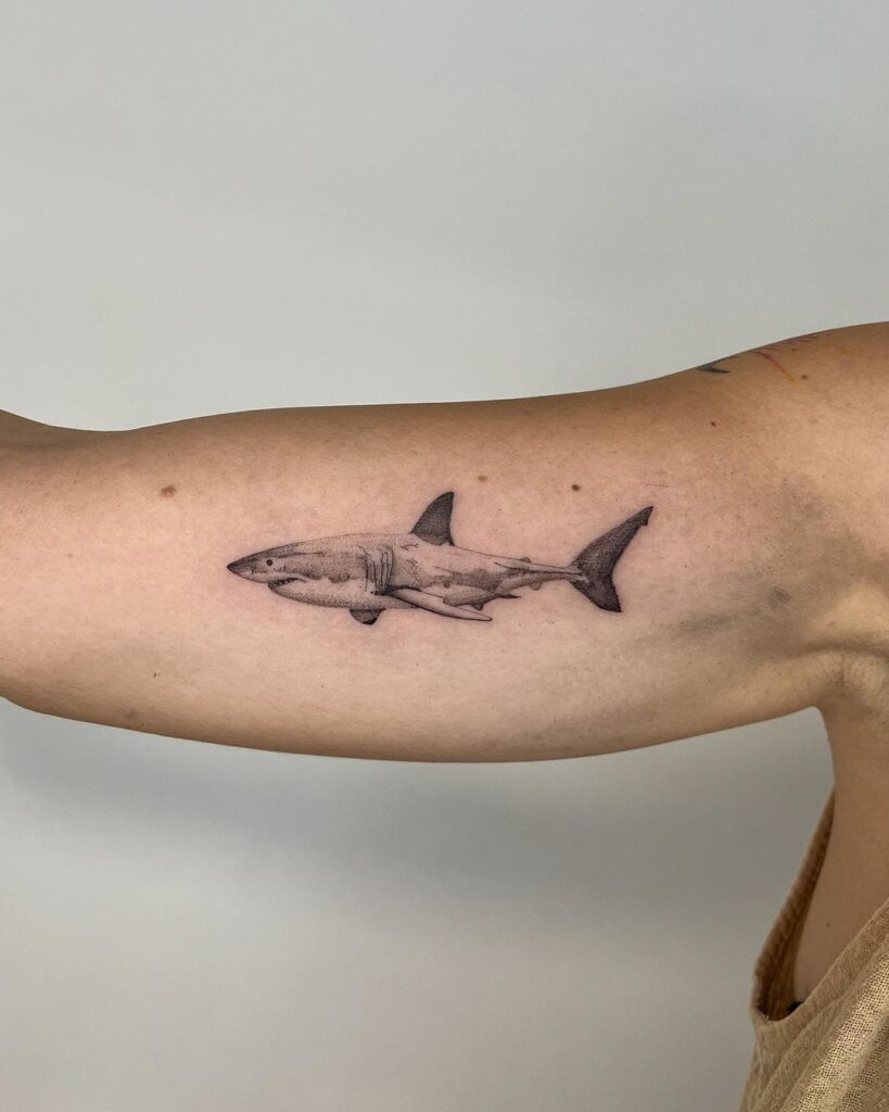 20 tatuagens de tubarões doentias para mergulhar os dentes