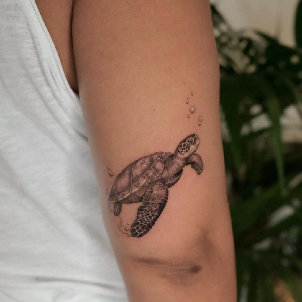 22 tatuajes de tortugas marinas que causarán sensación