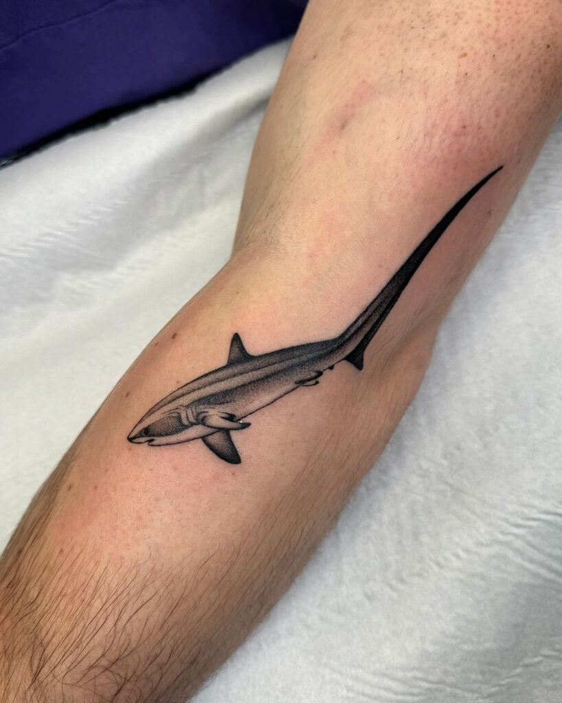 20 kranke Hai-Tattoos zum Versenken der Zähne