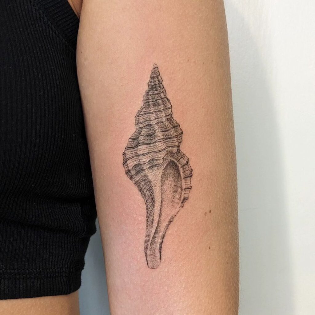 Significato del tatuaggio con la conchiglia e 25 idee di design da capogiro