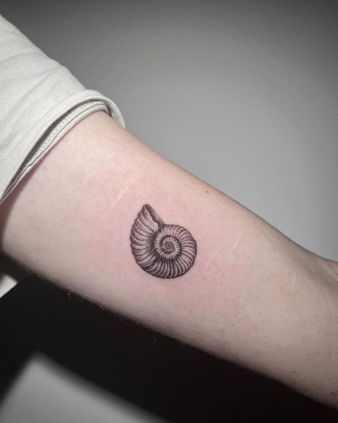 Shell Tattoo Meanings And 25 Jaw-Dropping Design Ideas