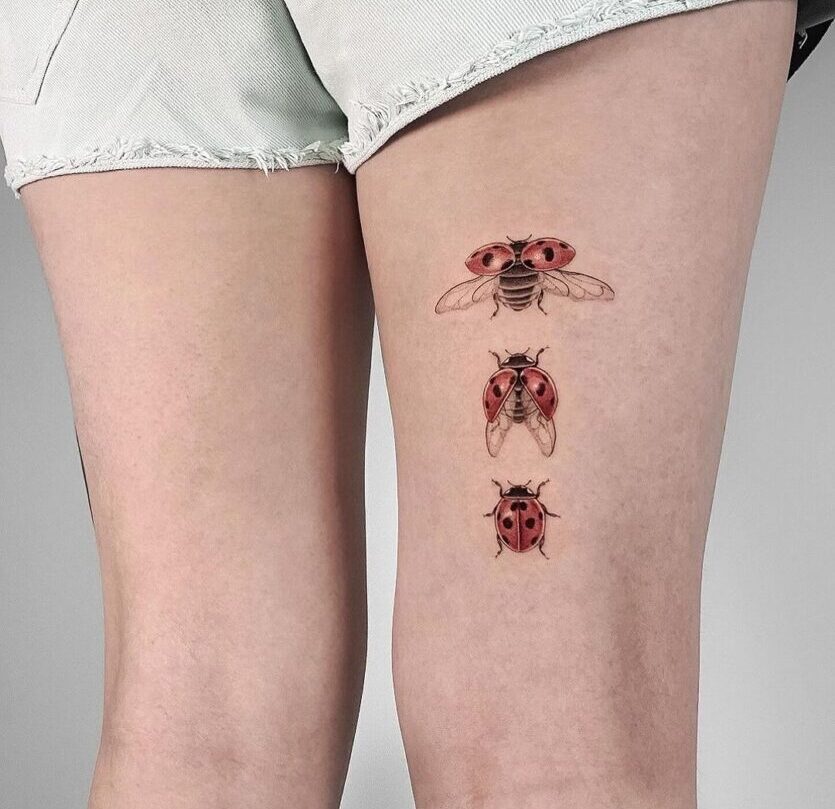 Significados das tatuagens de joaninha e 25 ideias irresistíveis para o "Inkspo"