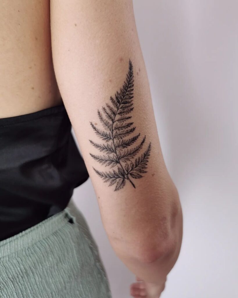 20 Phänomenale Farn-Tattoos, die deine Tinteninspiration wachsen lassen werden
