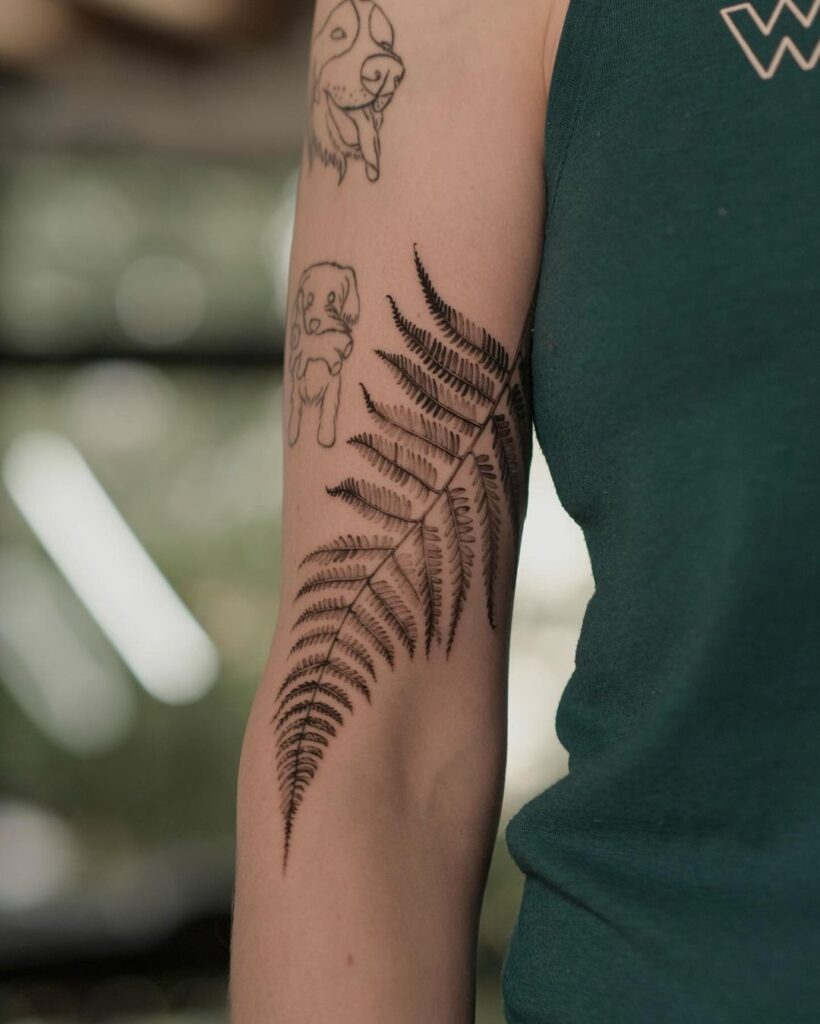 20 Phänomenale Farn-Tattoos, die deine Tinteninspiration wachsen lassen werden