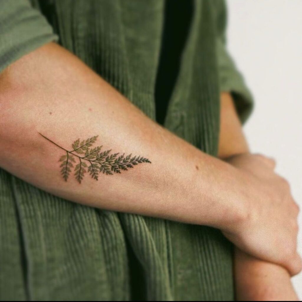 20 tatuaggi di felci fenomenali che faranno crescere la vostra ispirazione per l'inchiostro