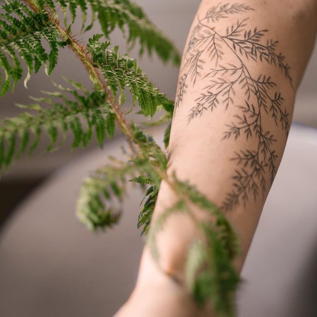 20 Phenomenal Fern Tattoos That'll Grow Your Ink Inspiration