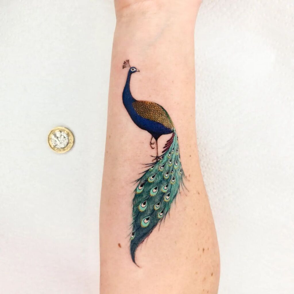 22 motifs de tatouage de paon qui vous fascineront